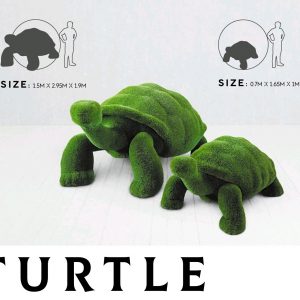 Tortugas césped artificial