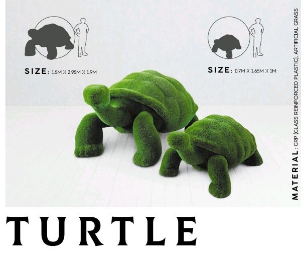 Tortugas césped artificial