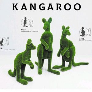 KANGUROS CESPED ARTIFICIAL