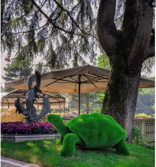Tortugas césped artificial - Imagen 3