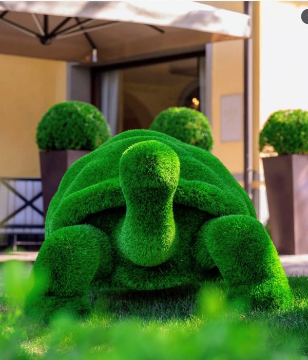 Tortugas césped artificial - Imagen 2